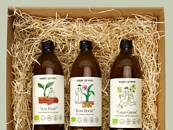 sage-green, SIA produkcija