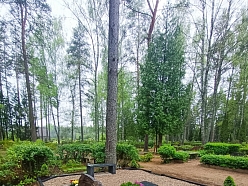 Pilna kapu labiekārtošana