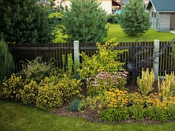 Mulčas pielietojums