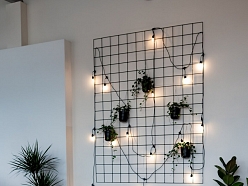 Sorberts, SIA, pasākumu vieta