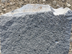 šūnbetons