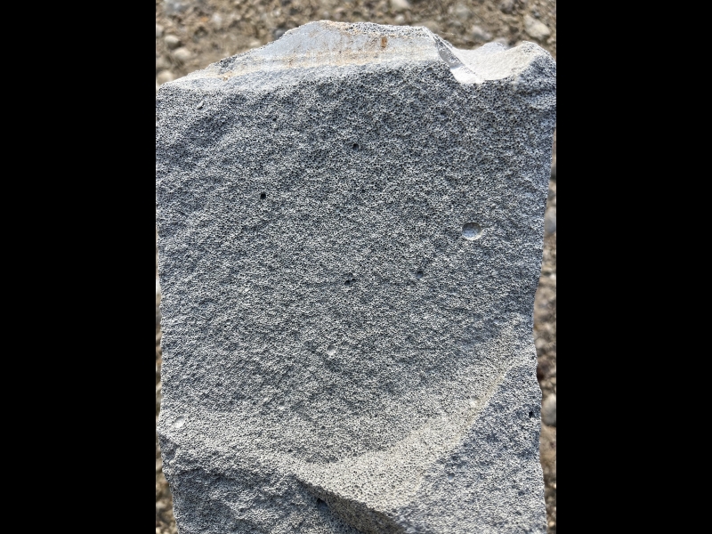 šūnbetons