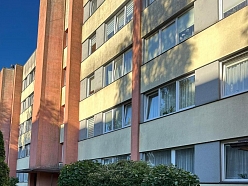 Profesionāla apstādījumu sakopšana un teritorijas uzlabošana