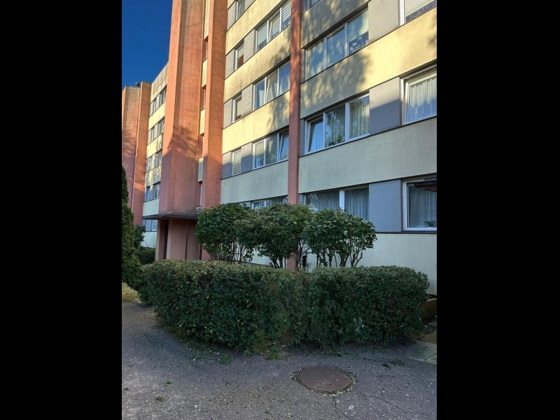 Profesionāla apstādījumu sakopšana un teritorijas uzlabošana