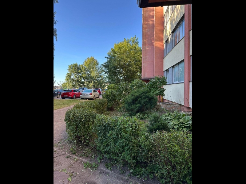 Zaļo zonu atjaunošana un krūmu retināšana ar SwiftClean