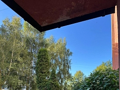 Dekoratīvo krūmu un koku kopšana sakoptai videi