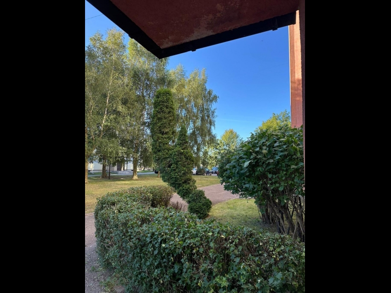 Dekoratīvo krūmu un koku kopšana sakoptai videi