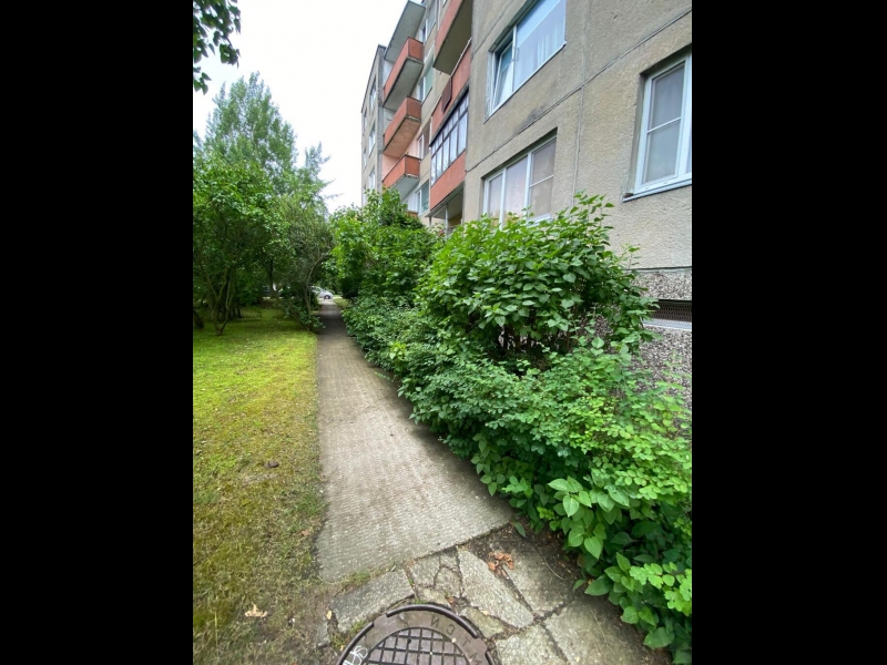 Aizaugušu krūmu apgriešana un celiņu atbrīvošana ar SwiftClean