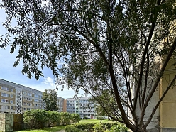 Pagalmu un zaļo zonu sakopšana daudzdzīvokļu mājām