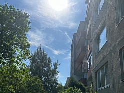 Krūmu un apstādījumu kopšana dzīvojamo ēku teritorijās