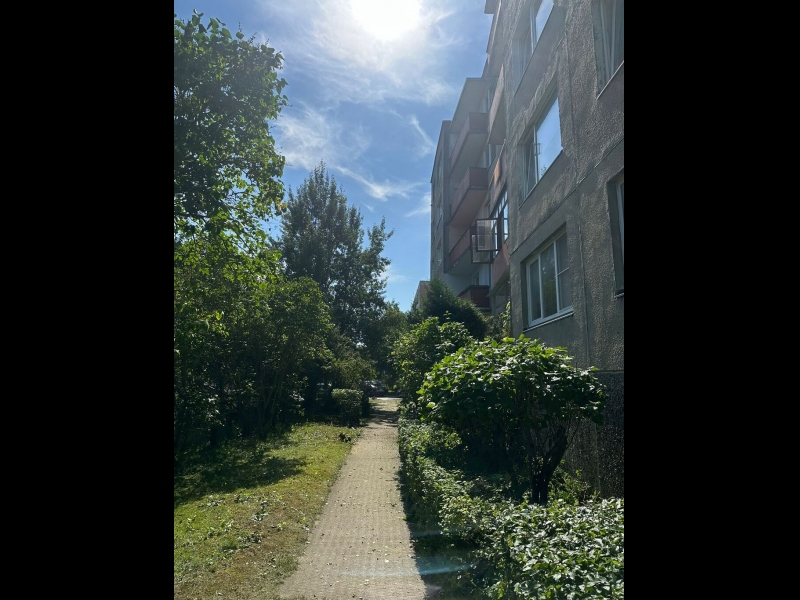 Krūmu un apstādījumu kopšana dzīvojamo ēku teritorijās