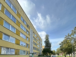 Dzīvžogu formēšana un teritorijas uzturēšana pilsētvidē