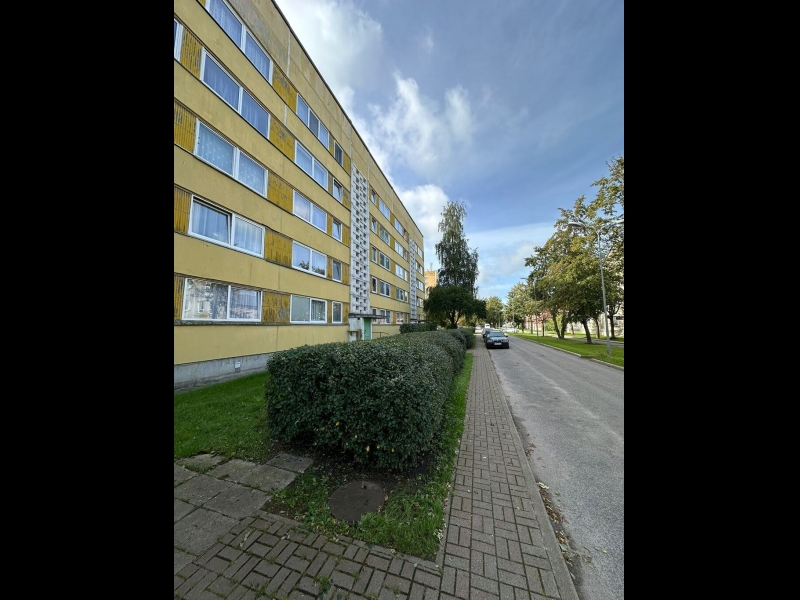 Dzīvžogu formēšana un teritorijas uzturēšana pilsētvidē