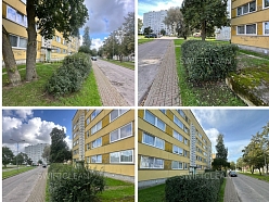 Krūmu apgriešana un teritorijas labiekārtošana pilsētvidē