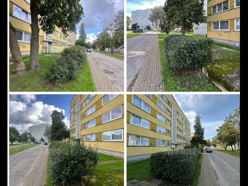 Krūmu apgriešana un teritorijas labiekārtošana pilsētvidē