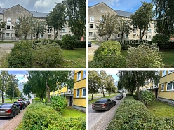 Koku un zaļo zonu kopšana ar profesionālu pieeju