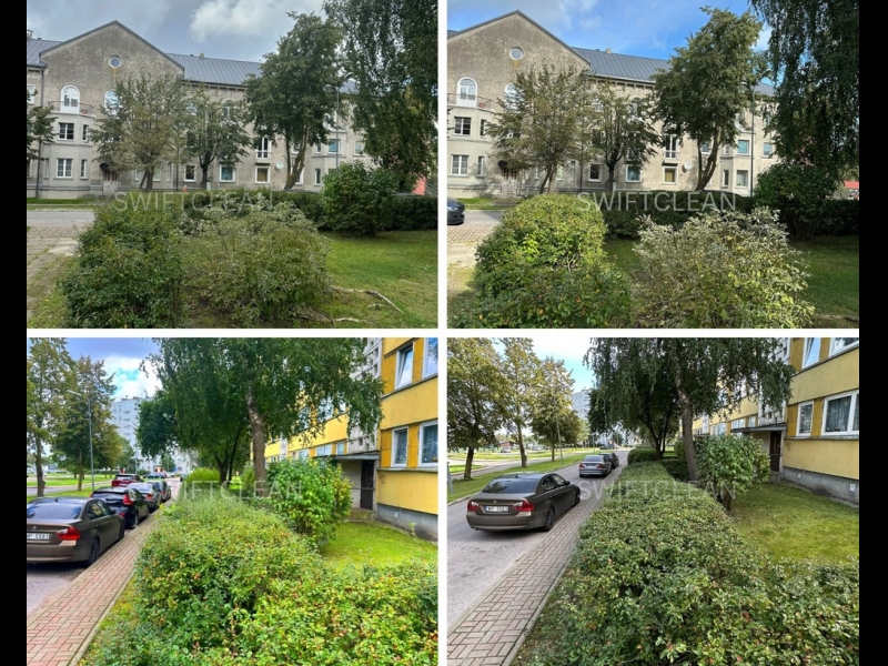 Koku un zaļo zonu kopšana ar profesionālu pieeju