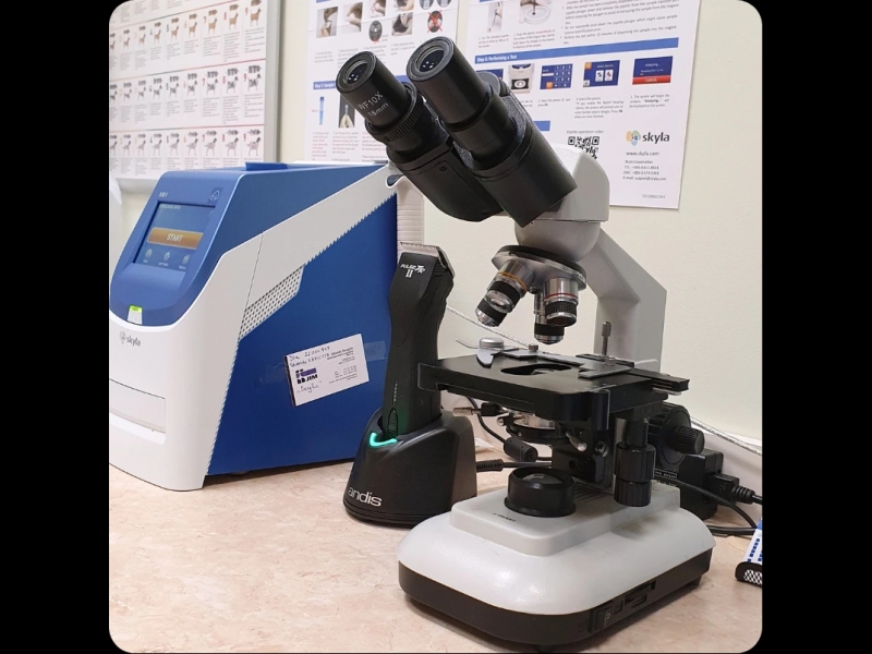 Laboratoriskie izmeklējumi ar mikroskopu