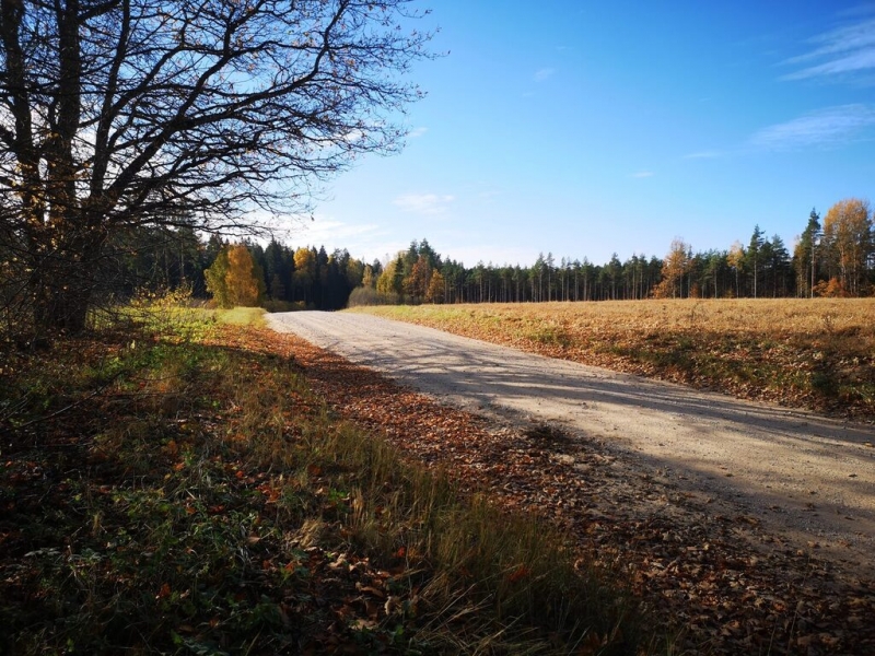 Grants ceļš, kuru būvē "Valmieras ceļi"