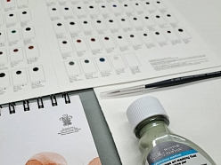 profesionāli materiāli gleznošanai no Vilhelms.