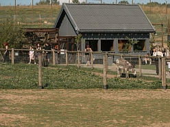 Sigulda Zoo
