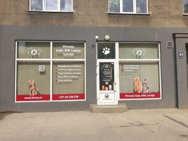 Kaķu mazgāšana un žāvēšana