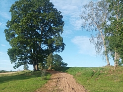 ekskavatora pakalpojumi