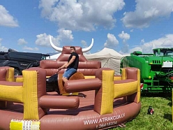 Atribūti bērnu ballītei