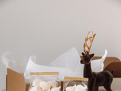 Elegantas Ziemassvētku dāvanas