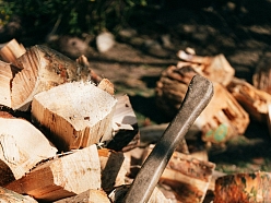 Meža apsaimniekošana