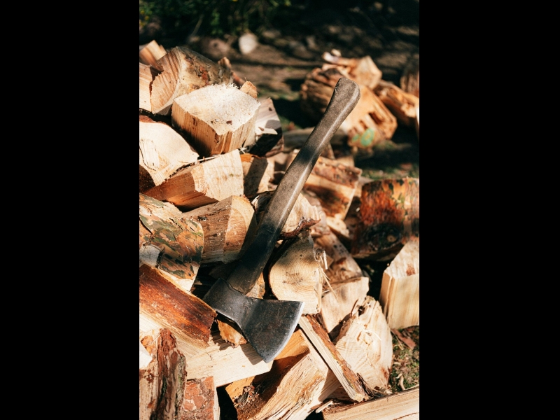 Meža apsaimniekošana