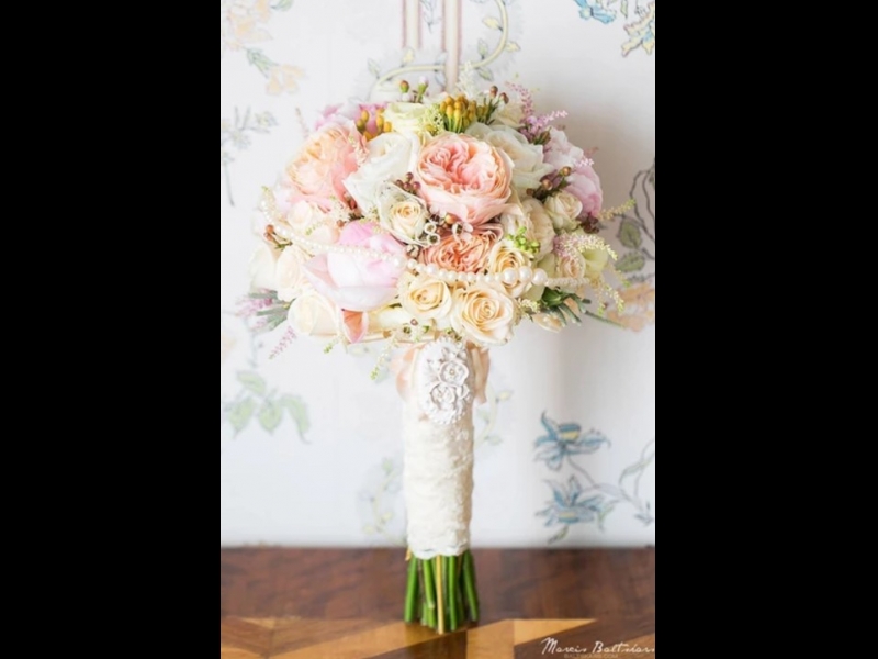 Ziedu salons Anemoon