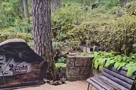 Kapu Kopšana un Labiekārtošana - Medusa Riga