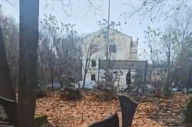 Kapu Kopšana un Labiekārtošana - Medusa Riga