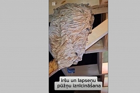 Lapseņu un iršu pūžņu likvidēšana