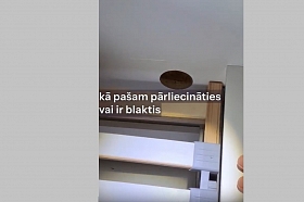 Kā pašam pārliecināties vai ir blaktis?