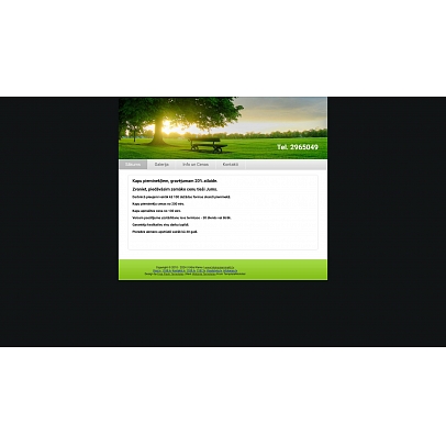 Uldis Kleins, Akmeņkaļu darbnīca