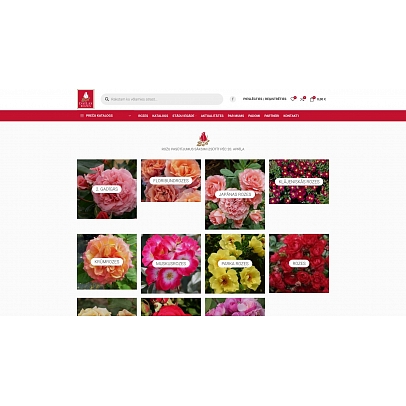 Dailas rozes, individuālais darbs