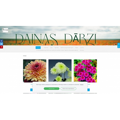 Dainas Dārzi, SIA K.D. Birojs