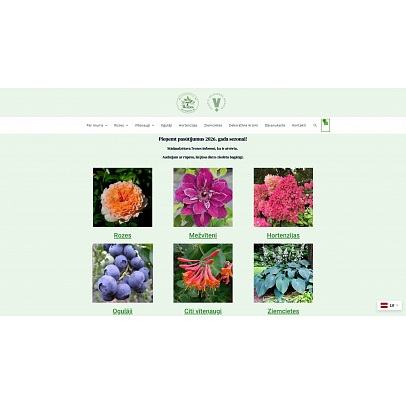Stādaudzētava 7 Rozes