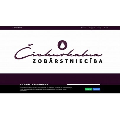 Čiekurkalna zobārstniecība, SIA