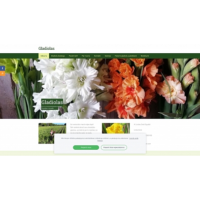 Lindas Ziedi Siguldā, IK