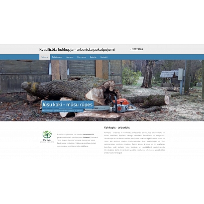 TN Koki, bīstamo koku zāģēšana