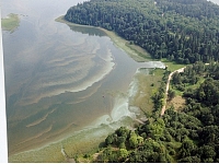 Līdz ar ūdens temperatūras paaugstināšanos, Alūksnes ezerā veidojušies labvēlīgi apstākļi pastiprinātai aļģu 