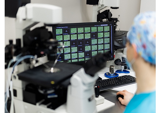 Starptautiska konference Rīgā pulcēs vadošos ekspertus reproduktīvās ģenētikas jomā