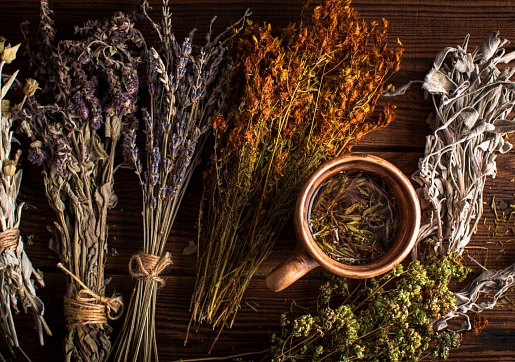 8 vērtīgi vasaras augi tēju pagatavošanai: Iesaka farmaceite