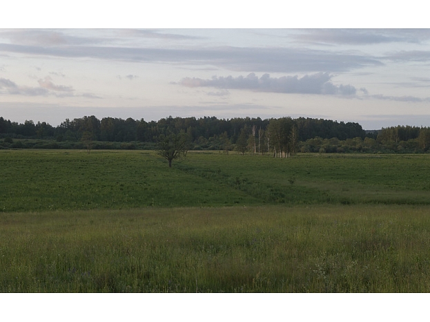 Dāvis Kļaviņš/flickr.com
