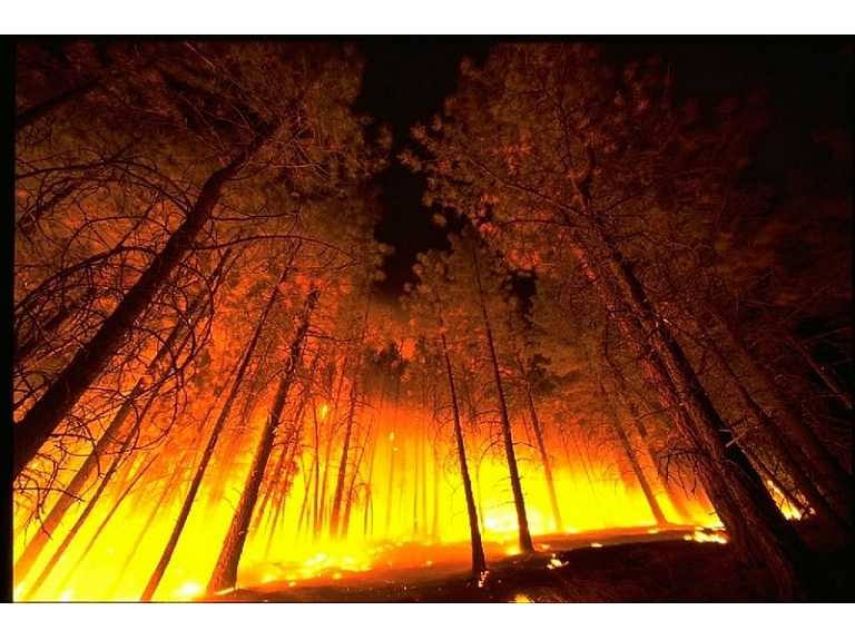 ASV Kalifornijas štatā uz austrumiem no Losandželosas plosās plašs savvaļas ugunsgrēks. Tas izpleties aptuveni 3000 hektāru platībā. Ar liesmām kalnainajā apvidū cīnās vairāk nekā 900 ugunsdzēsēji.