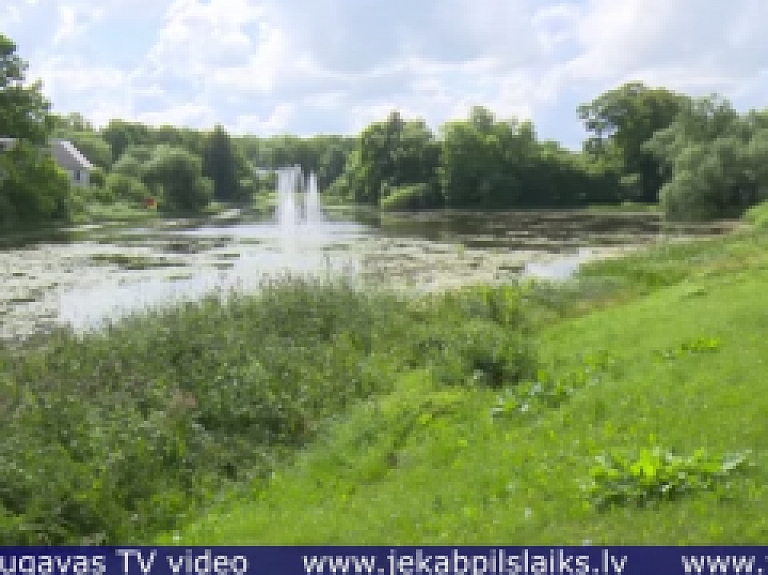 Vidusdaugavas TV: Jēkabpils pilsētā cīnās ar latvāņu invāziju