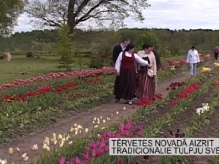 Latgales Reģionālā TV: Tērvetes novadā aizrit tradicionālie Tulpju svētki